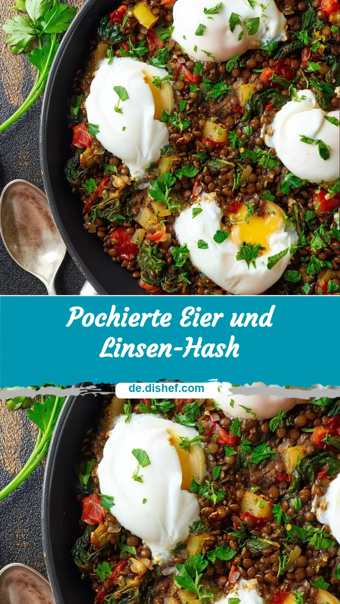 Pochierte Eier und Linsen-Hash