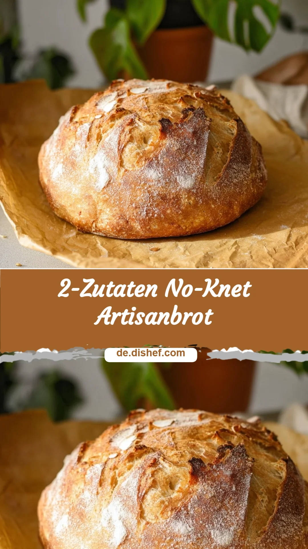 2-Zutaten No-Knet Artisanbrot