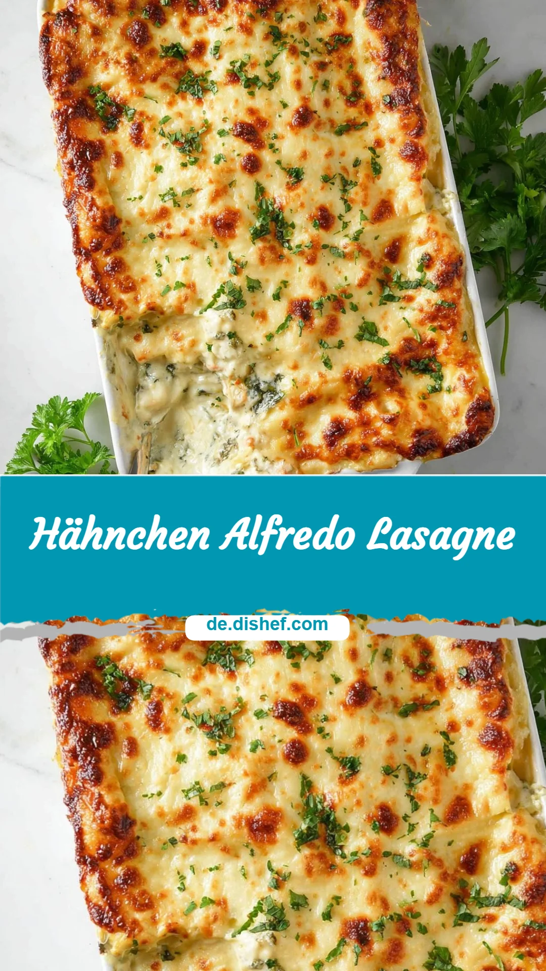Hähnchen Alfredo Lasagne